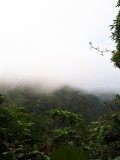 Bosque nuboso de Monteverde